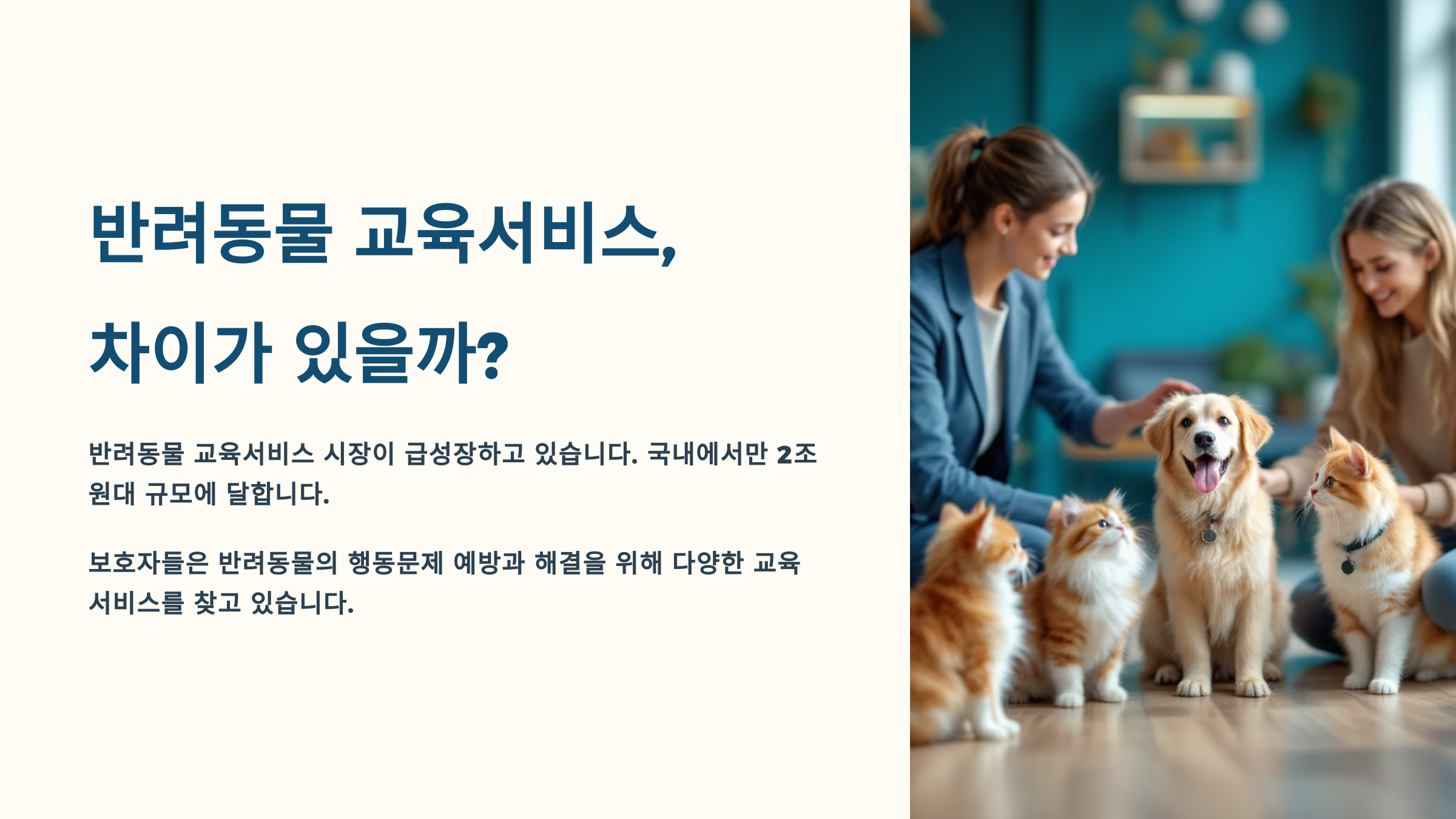 반려동물 교육서비스, 어떤 차이가 있을까?