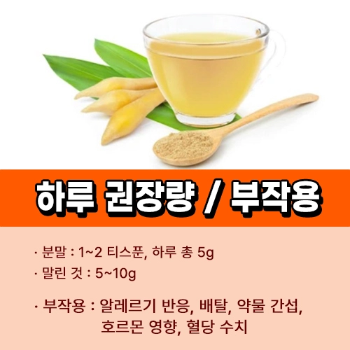 핑거루트 하루 권장량