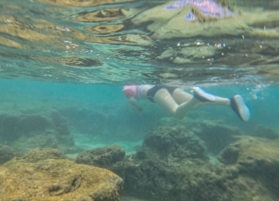 하나우마베이 스노쿨링 산호초