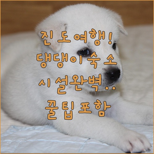 반려견과 가기 좋은 진도 숙소 추천 ..