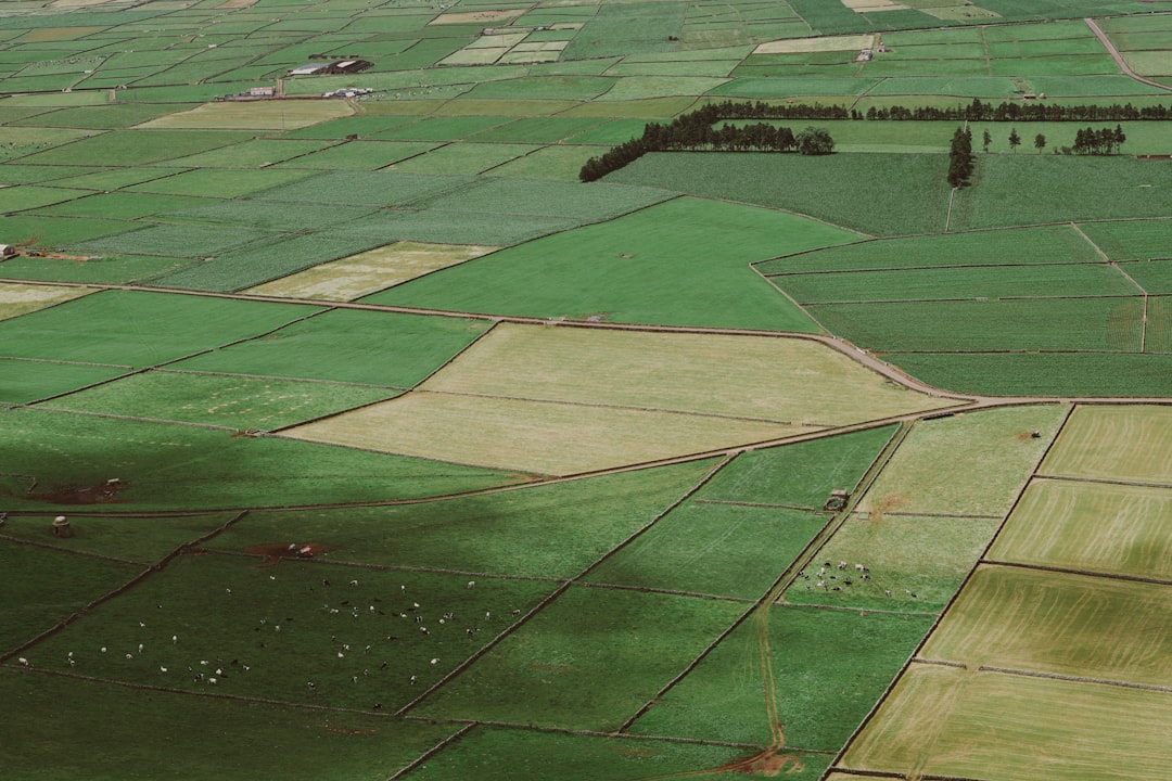 Land.