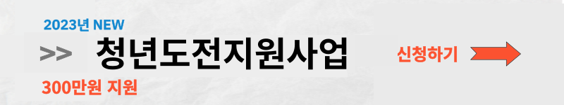 청년도전지원사업