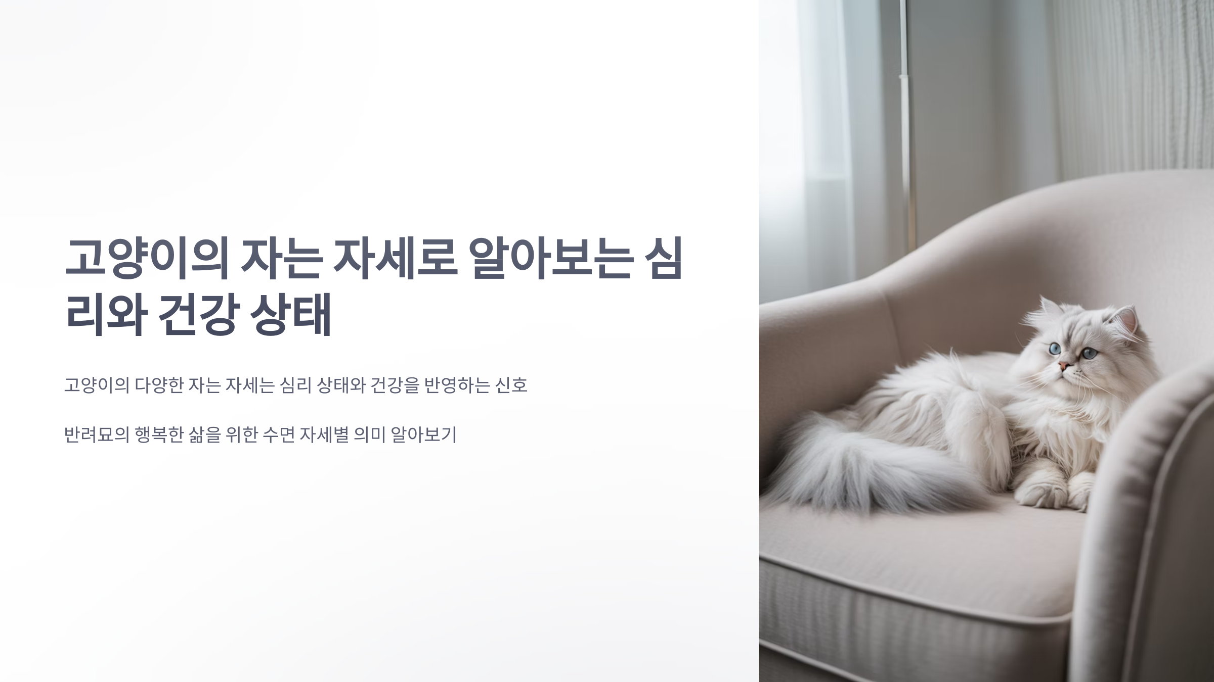 참조-고양이의-자는-자세-1