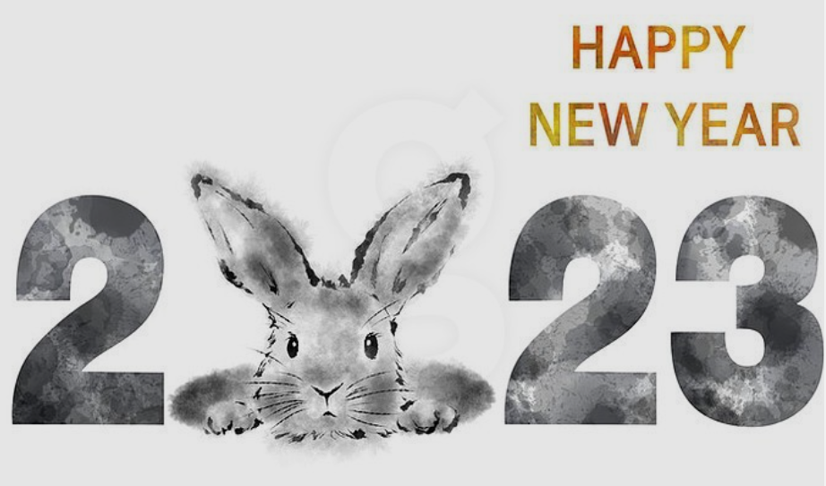 23년 계묘년 흑토끼의해 변화되는 내용