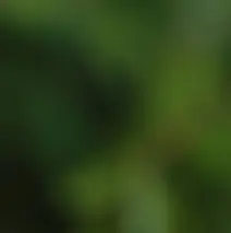 동남아 베트남 코로나19 재유행