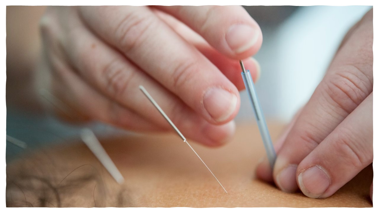 한국의 전통 관리법 한방 의학, 발효식품, 자연과조화