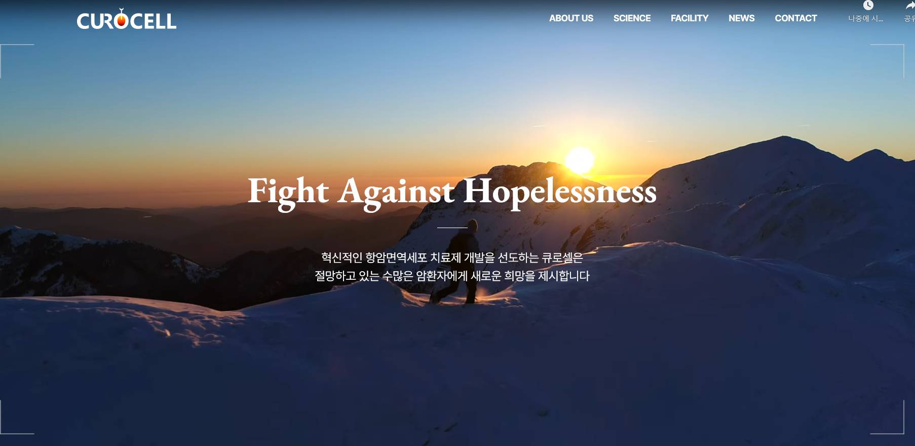 큐로셀 공모주 청약