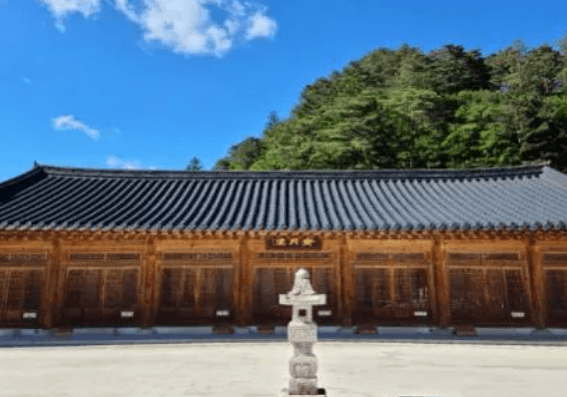 월정사 템플스테이 가이드: 전나무 숲길