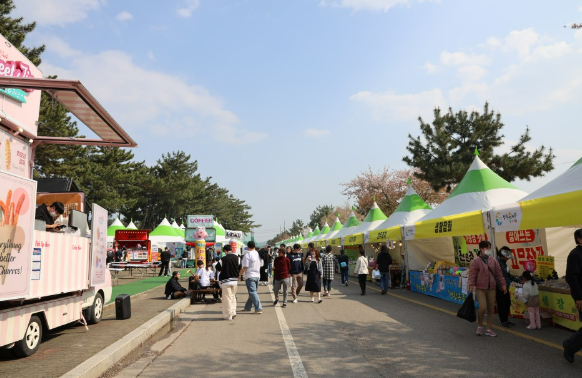 삼척 맹방유채꽃축제 체험