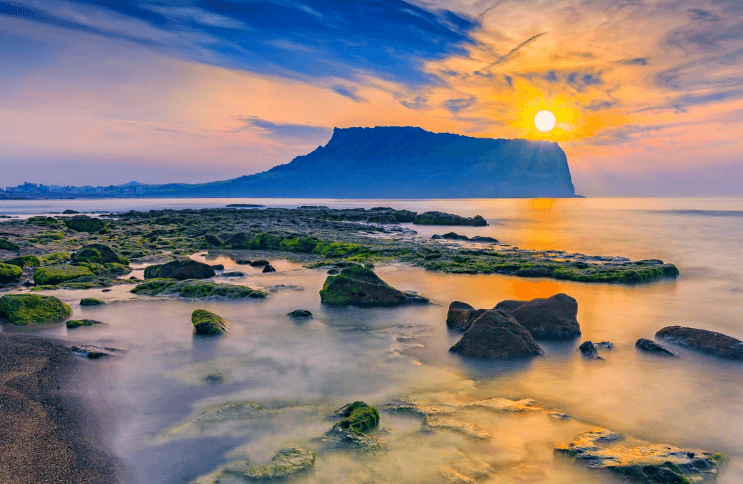 제주도 렌트카 추천 BEST 3 (실제 이용해본 곳)