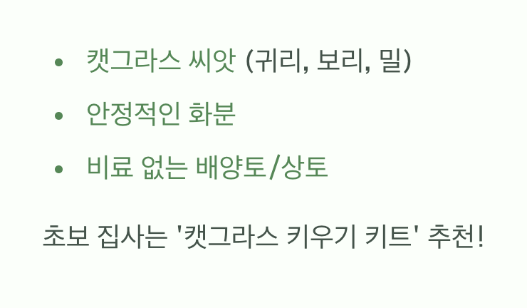 준비는 간단해요! (씨앗과 화분)