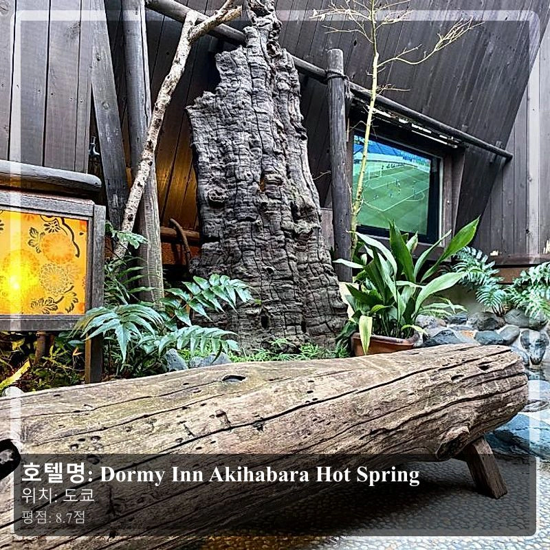 Dormy Inn Akihabara Hot Spring_4