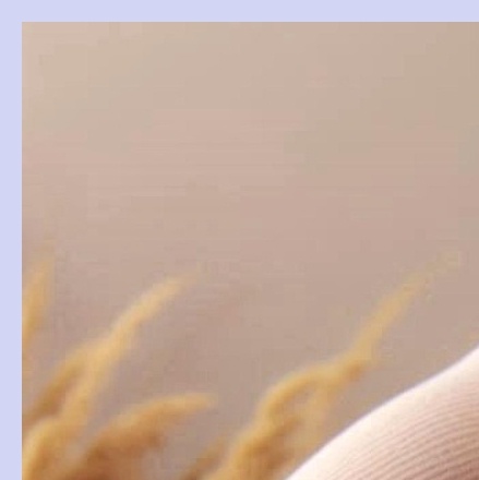 대상포진 초기증상