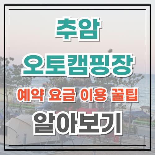 추암 오토 캠핑장 예약 요금 이용 꿀팁 알아보기