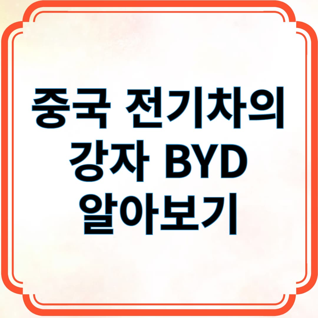 중국 전기차의 강자 BYD 알아보기
