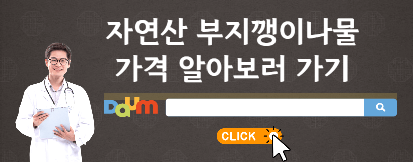 부지깽이나물
