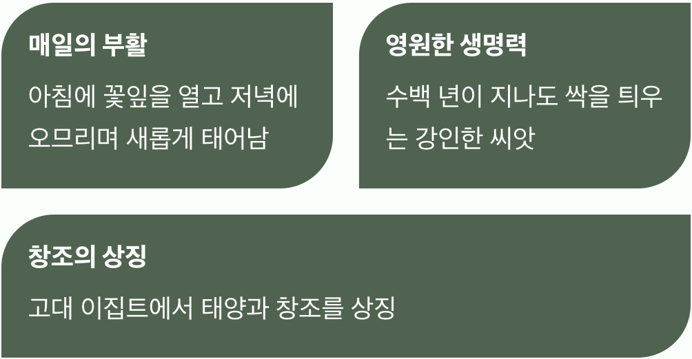 생명의 탄생과 부활