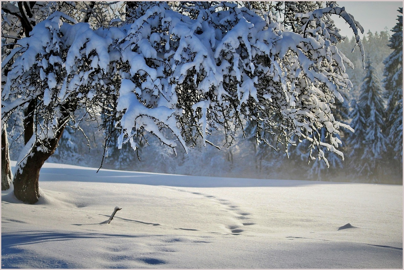그랜저 하이브리드 가격표