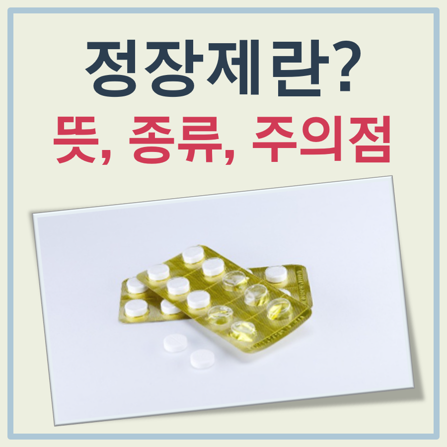 정장제란 대표 이미지