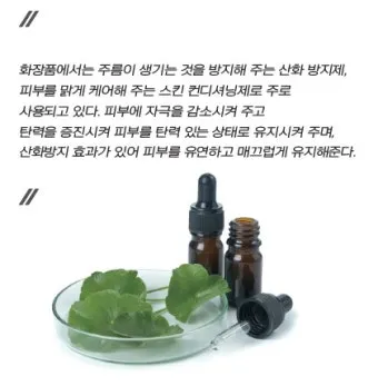 병풀 상처연고 상처 치유 피부 재생 효능과 사용법_18