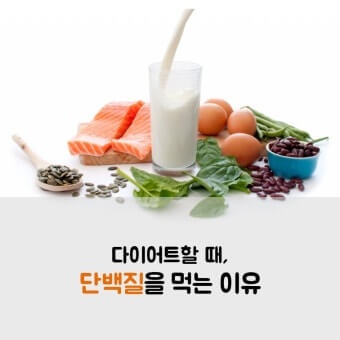 단백질로 근육량 유지