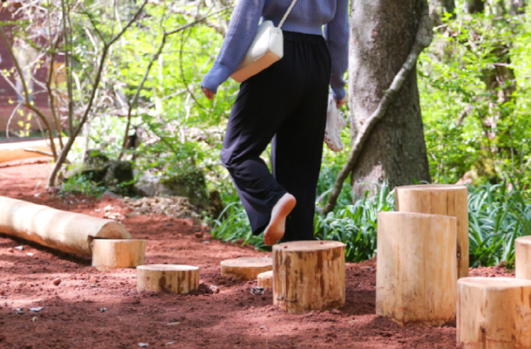 제주 에코랜드 테마파크