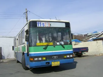 대구 시내버스 첫차시간 노선별 운행정보와 이용 꿀팁_15