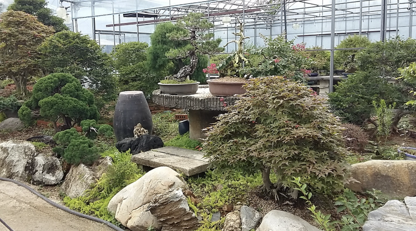 분재박물관 이미지