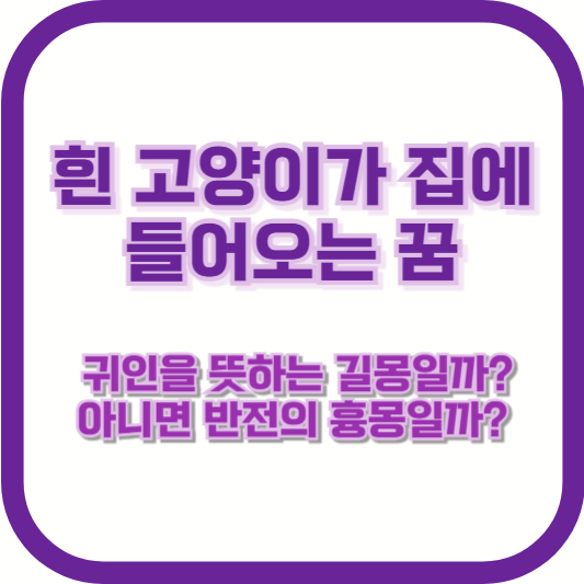흰 고양이가 집에 들어오는 꿈, 귀인을 뜻하는 길몽일까? 아니면 반전의 흉몽일까?