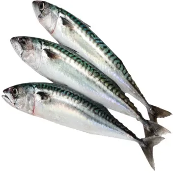 고등어 굽는 방법 비린내 잡기 레시피_2