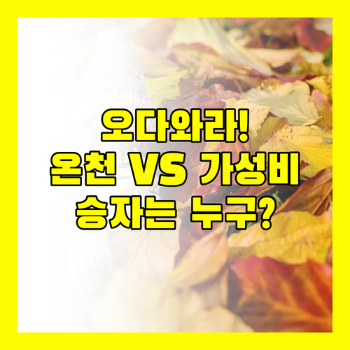 오다와라 숙소 선택 대결 역세권 온천..