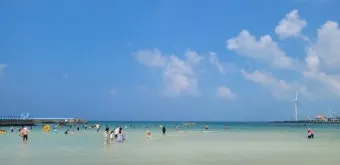 제주 월정리 해변 감성 여행지 카페 거리 소개_11