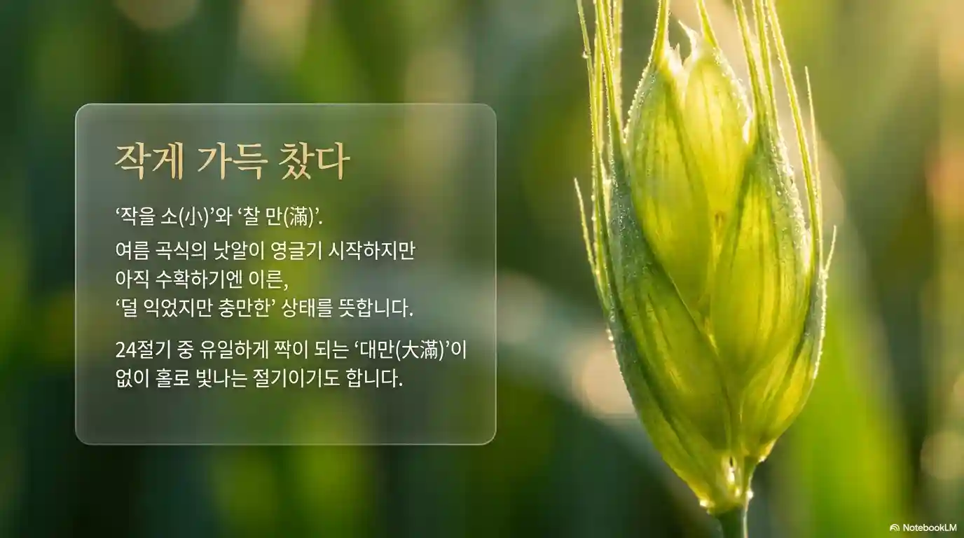 소만 뜻 한자 풀이