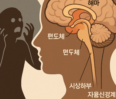 공포가 뇌에서 처리되는 생물학적 메커니즘
