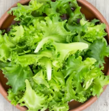 지방간에 좋은 음식 10 영양제 식단