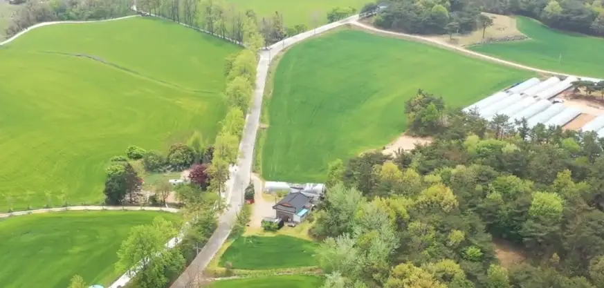고창 청보리밭축제 주차장, 입장료, 프로그램