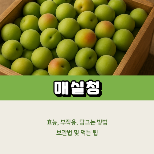 매칠청 효능부터 담그는법까지
