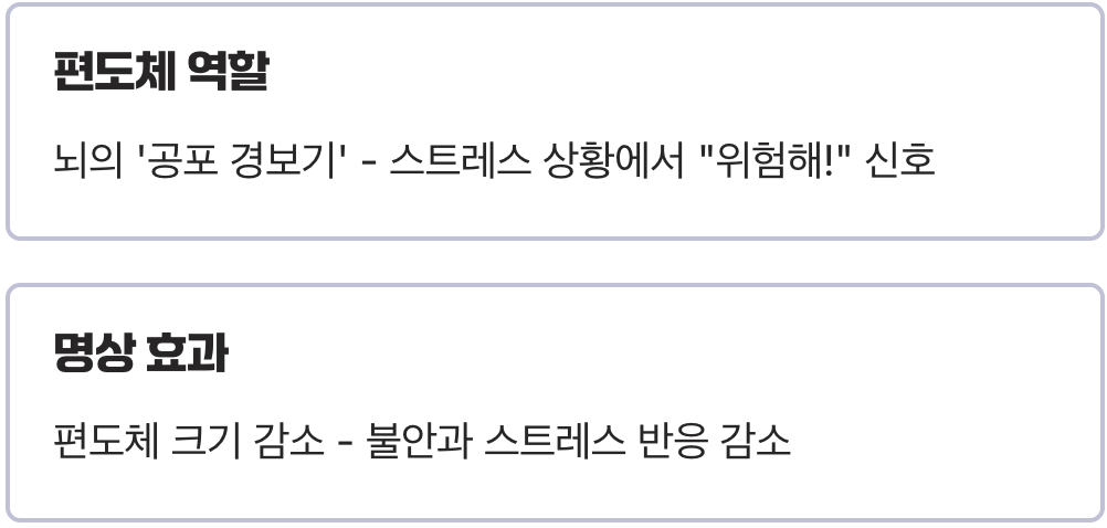 '불안'과 '공포'의 스위치, 편도체가 작아진다