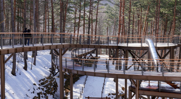 태백산 하늘전망대