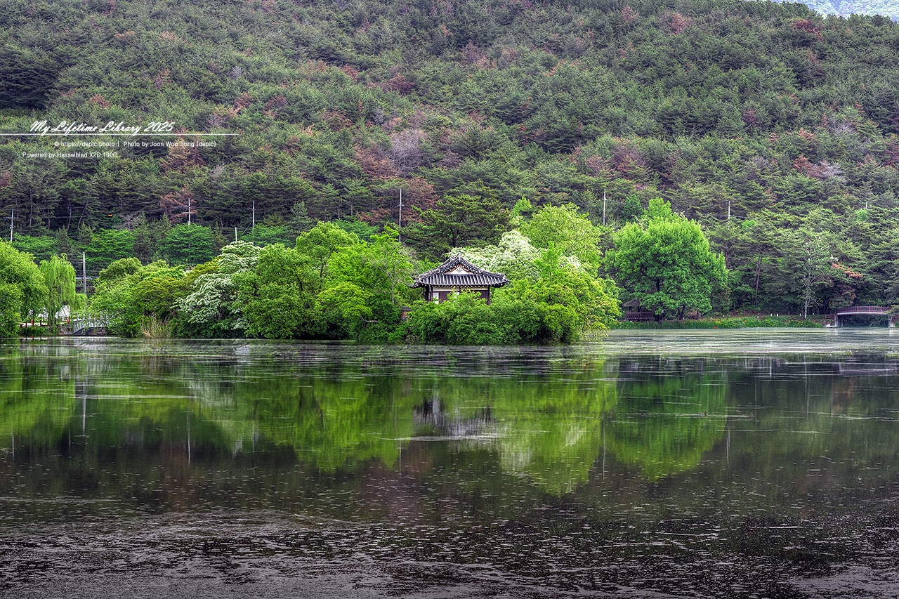 #밀양 #저수지 #위양지 #이팝