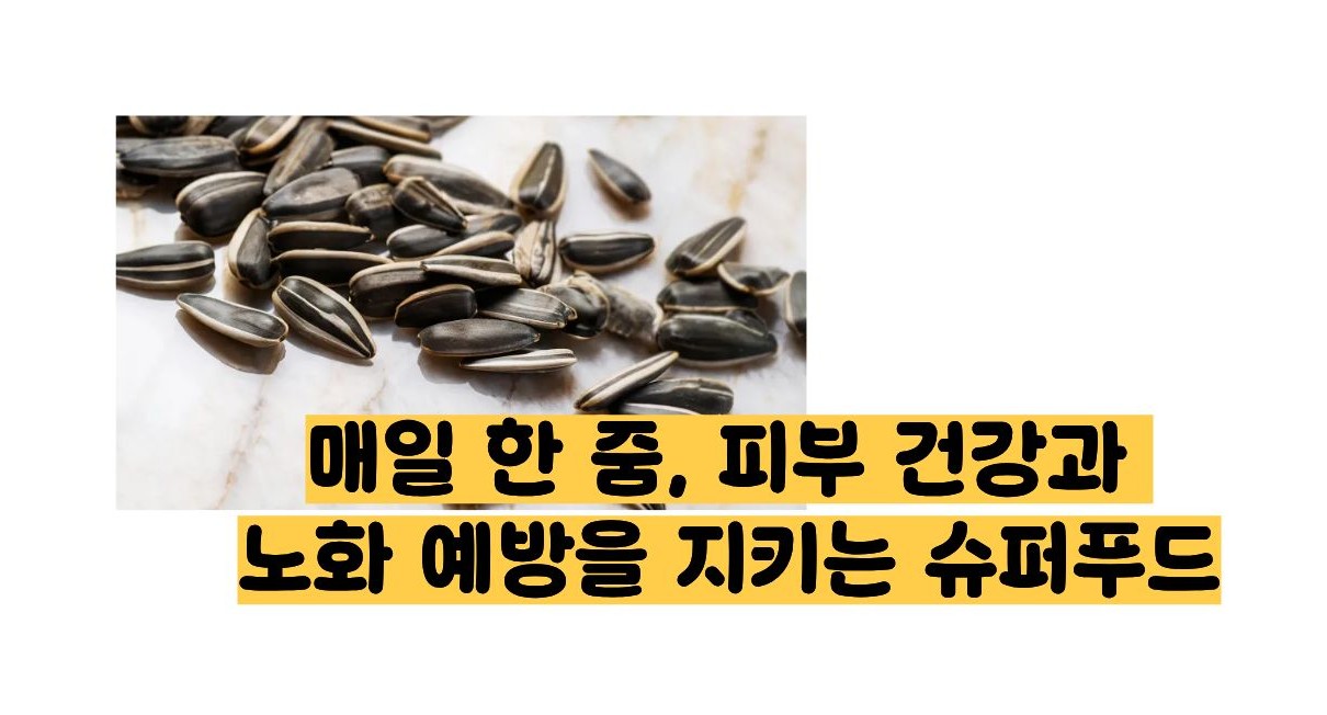 해바라기 씨 효능