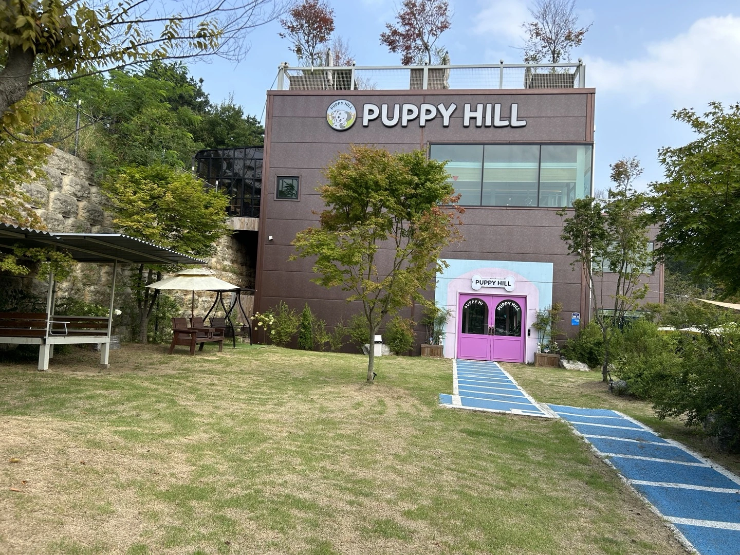 반려견 동반 여행 파주 시티 댕 투어 기획 코스 소개! 일정 시간 신청 참가 예약 방법 비용 헤이리예술마을 퍼피힐 힐링그라운드