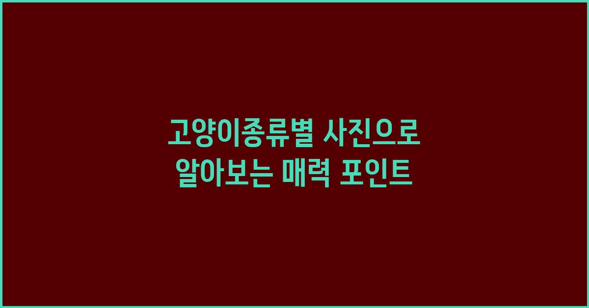 고양이종류별 사진