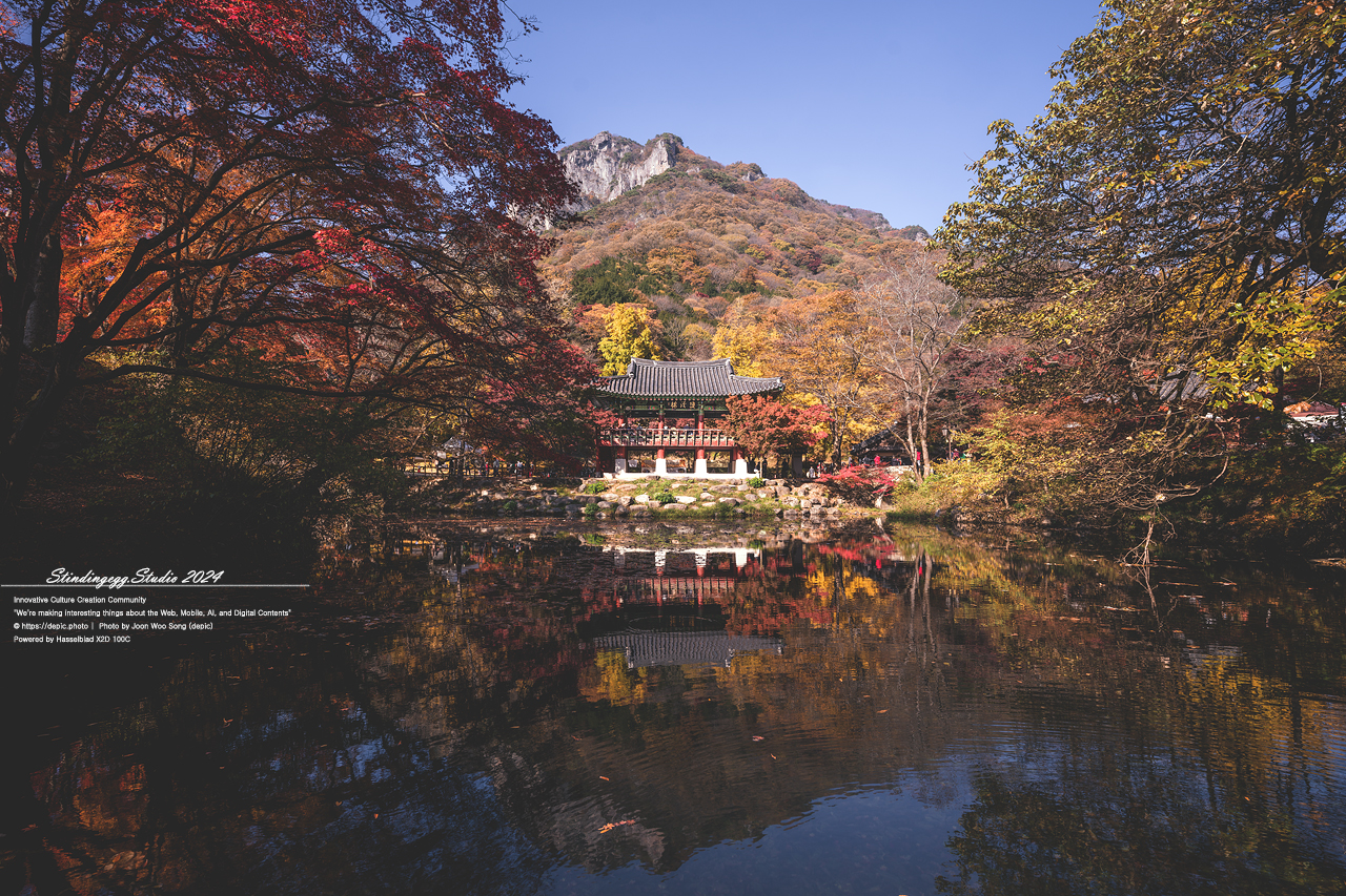 #가을 #단풍 #백양사 #장성 #쌍계루 #불교