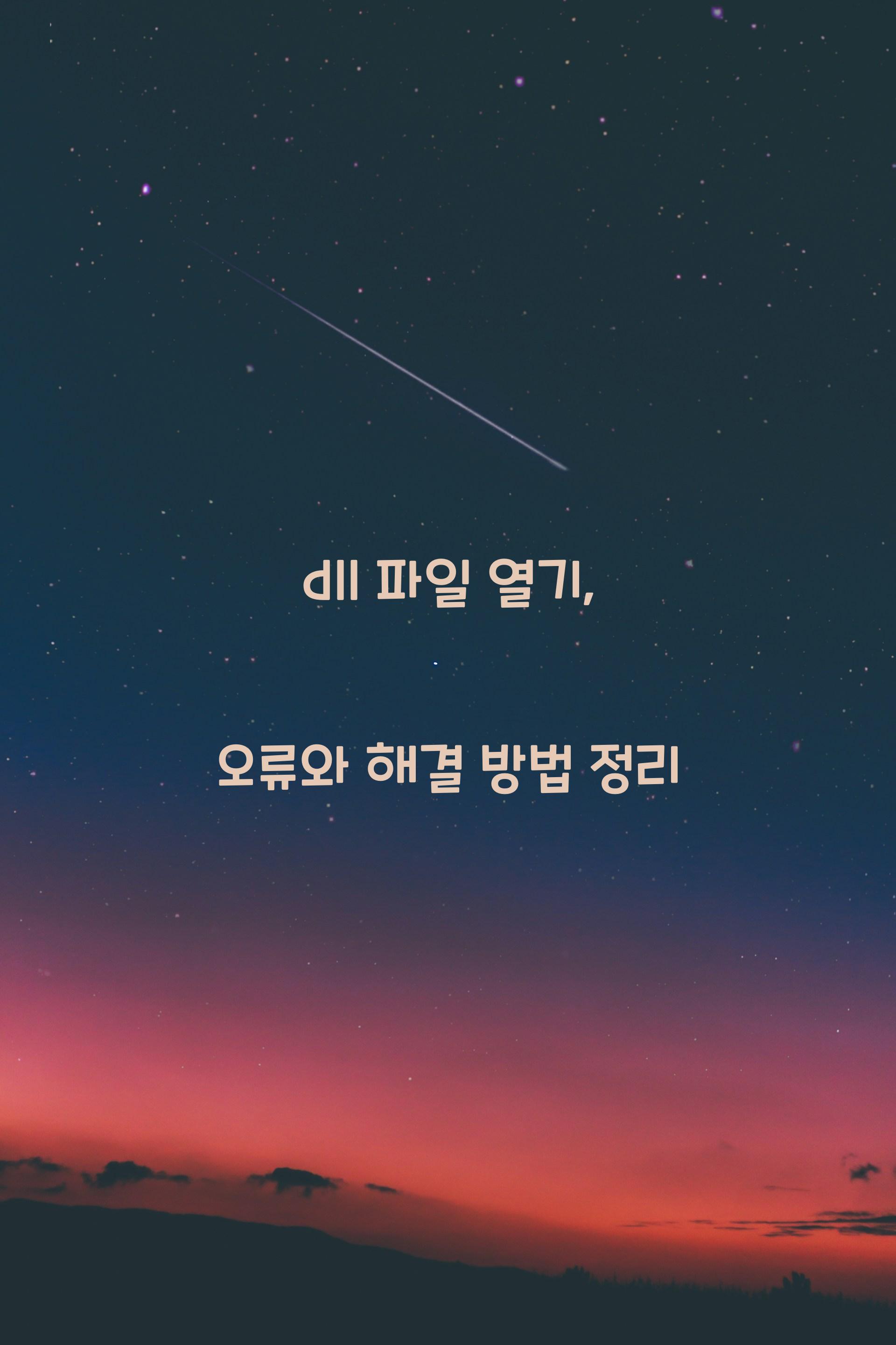 dll 파일 열기