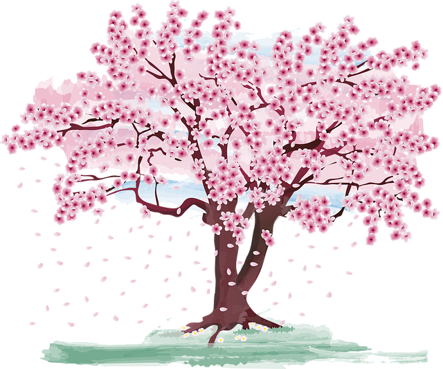 미니멀리즘 실천으로 공간 절약하는 7가지 팁 꼭 알아야 할 비밀