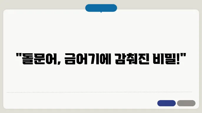 돌문어 금어기