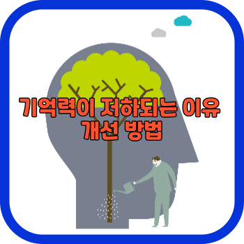 기억력이 저하되는 이유 개선 방법