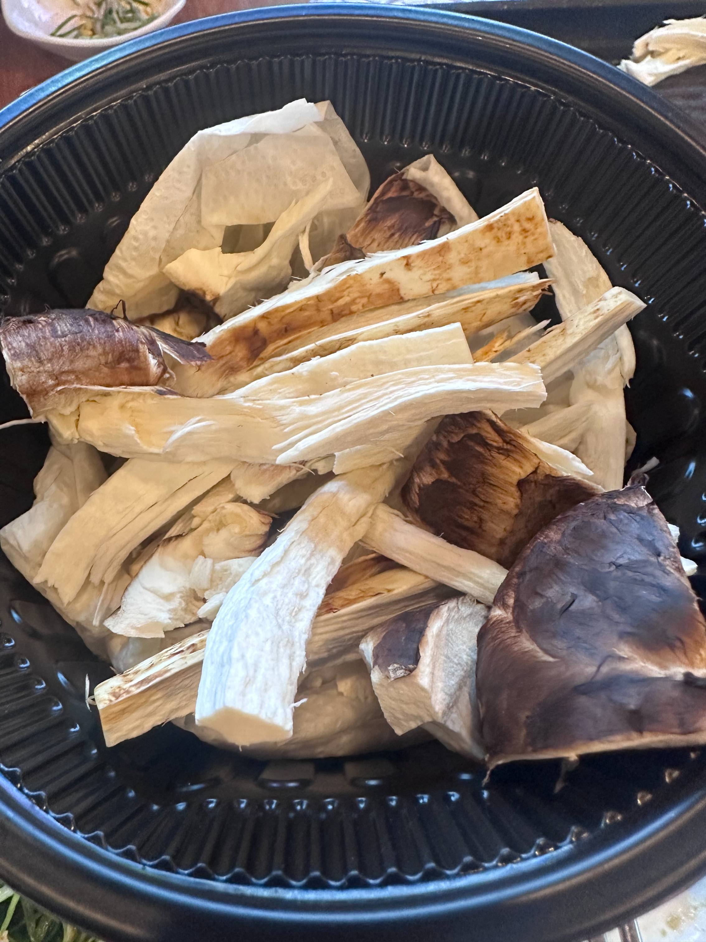 양양 송이버섯 가격 2025 실시간 시세|올해 왜 이렇게 비쌀까? 산지 직송 정보 총정리