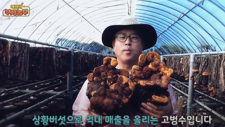 고범수-강화군-상황버섯
